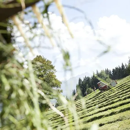 Am Riedanger Майрхофен