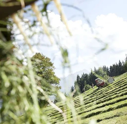 Am Riedanger Mayrhofen